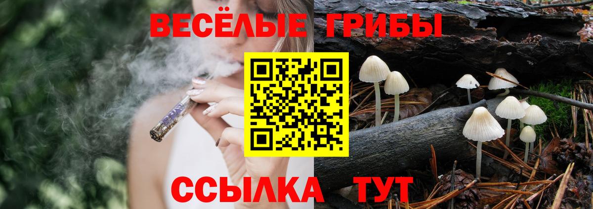 Сызрань  Псилоцибиновые грибы Psilocybine cubensis  купить наркотик  Вход с VPN  Галлюциногенные грибы ЛСД 
